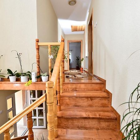 Casa Vio Hotel Haţeg Eksteriør billede