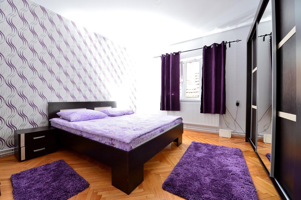 Casa Vio Hotel Haţeg Eksteriør billede